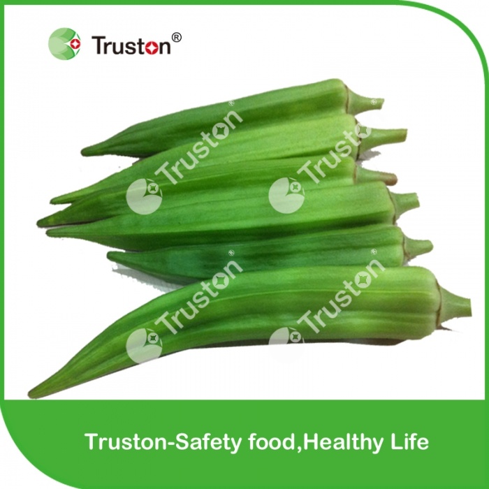 Good Quality Frozen Okra from China