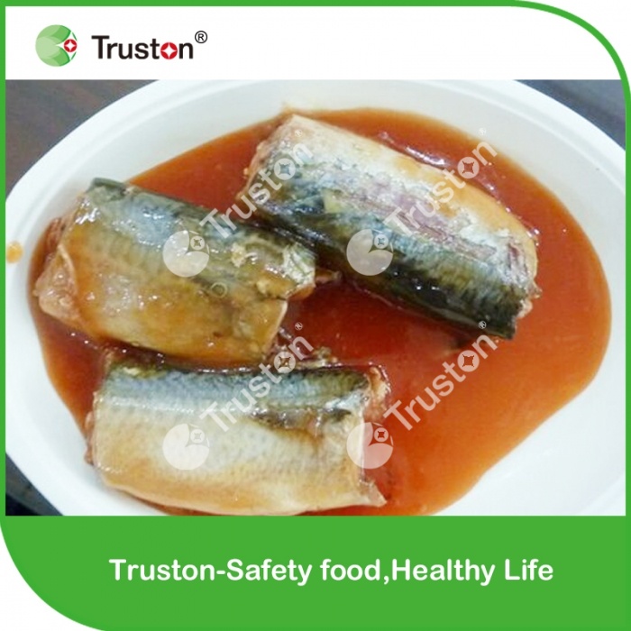 Canned Mackerel in Oil for Sale